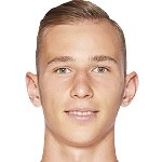 兹沃纳雷克头像,兹沃纳雷克图片