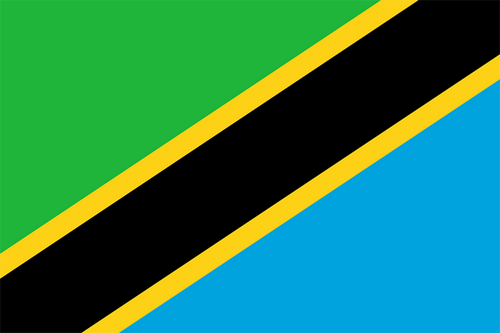 坦桑尼亚女足队标,坦桑尼亚女足图片