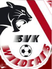 SVK野猫女足队标,SVK野猫女足图片