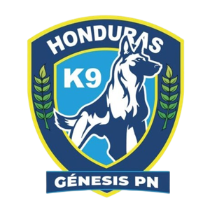 创世纪队标,创世纪图片