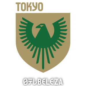 日视美人女足队标,日视美人女足图片