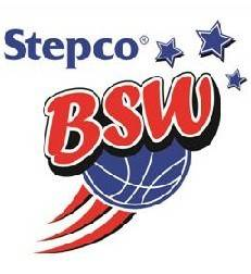 维尔特队标,维尔特图片