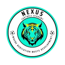 耐克司足球协会青年队队标,耐克司足球协会青年队图片